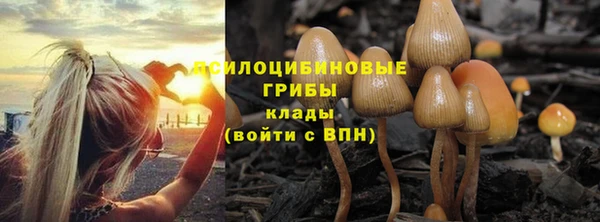 a pvp Верхний Тагил